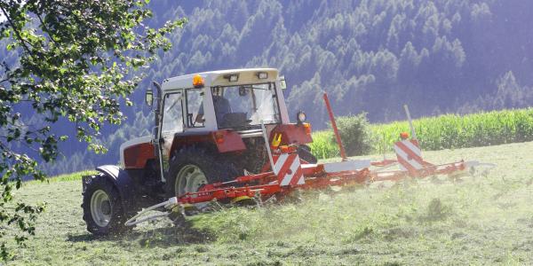 Tractor with hay tedder working on a mountain field.